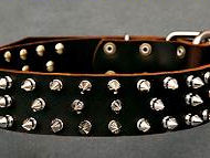 Leather Spiked Dog Collar Leather Spiked Dog Collar