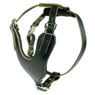 Heavy Duty Dog Harness for Rottweiler
