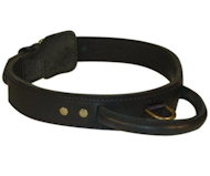 1 3/4 inch LEATHER DEPLOYMENT COLLAR for Rottweiler