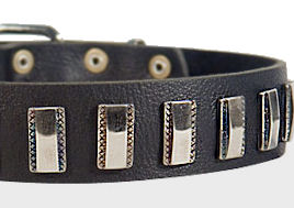 Ornament Dog Collar made of leather for Rottweiler Ornament Dog Collar made of leather for Rottweiler