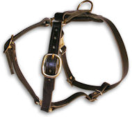 ROTTWEILER Leather Dog Harness H7 for walking and tracking ROTTWEILER Leather Dog Harness H7 for walking and tracking