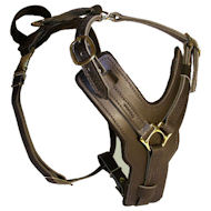 Rottweiler Padded Dog Harness H10