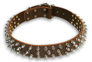 Rottie Spiked brown collar 22'' /22 inch dog collar - S44