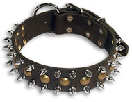 Studded Black collar 25'' for Rottweiler /25 inch dog collar-S55