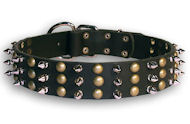 Spike Black collar 25'' for Rottweiler /25 inch dog collar-S59 Spike Black collar 25'' for Rottweiler /25 inch dog collar-S59
