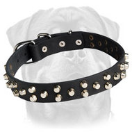 Beautiful Leather Dog Collar with Conical Pyramids Beautiful Leather Dog Collar with Conical Pyramids