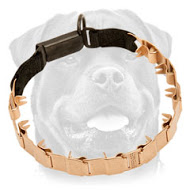 Curogan Neck Tech Sport Rottweiler Pinch Collar Curogan Neck Tech Sport Rottweiler Pinch Collar