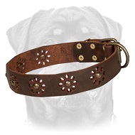 'Spring mood' Leather Dog Collar for Walking in Style 'Spring mood' Leather Dog Collar for Walking in Style