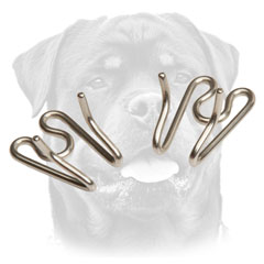 Solid link for Rottweiler pinch     collar