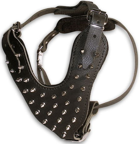 Leather Spiked dog harness for Rottweiler