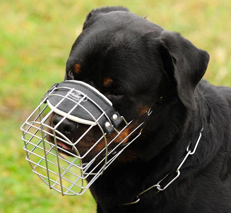 wire basket dog muzzle for Rottweiler - Rottweiler Cage dog muzzle