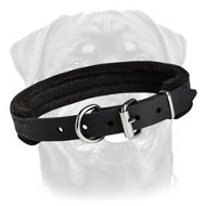 Padded Dog Collar - Large Dog Breeds Accessory - Rottweiler Collar with Padding 1 inch (2.5cm) width Padded Dog Collar - Large Dog Breeds Accessory - Rottweiler Collar with Padding 1 inch (2.5cm) width