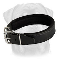 Leather dog collar padded with thick felt Leather dog collar padded with thick felt
