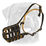 Rottweiler Felt Padded Leather Muzzle - Good Air Flow Walking Dog Muzzle Rottweiler Felt Padded Leather Muzzle - Good Air Flow Walking Dog Muzzle