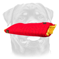 Safe and comfortable     Rottweiler puppy sleeve