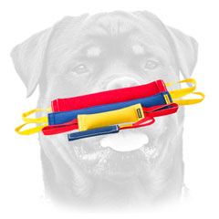 Training French Linen Dog Bite     Tugs For Rottweiler 