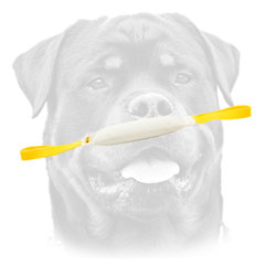 Rottweiler     professional training toy with two handles