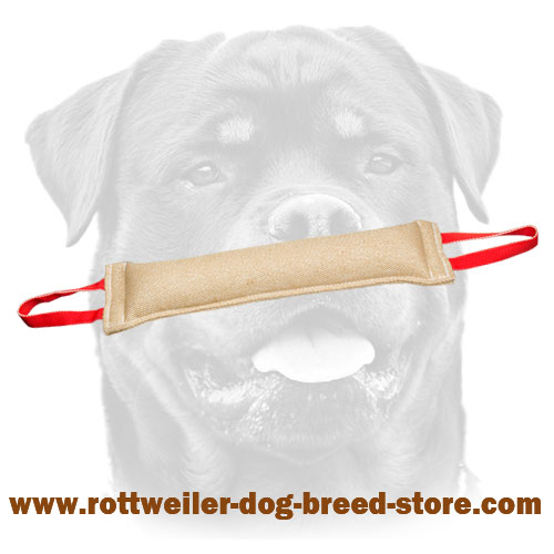 Jute Rottweiler tug with stitched handles