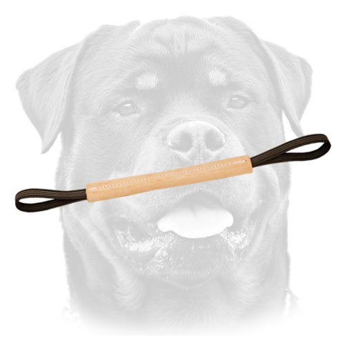 Professional bite Pocket Toy for young Rottweilers