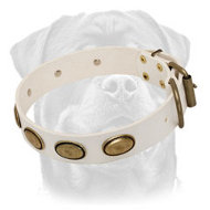 Exclusive White Leather Dog Collar with Brass Oval Plates Exclusive White Leather Dog Collar with Brass Oval Plates