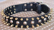 Three Rows brass Leather Spikes & Studded Dog Collar-S57