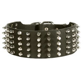 3 inch Spiked and Studded Rottweiler collar