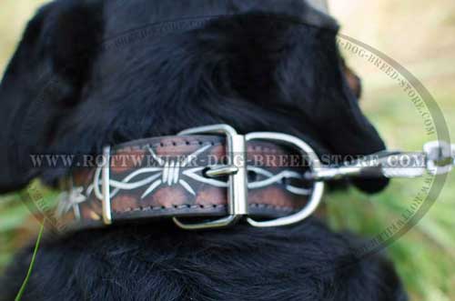 Painted Rottweiler Collar with Hard Buckle and D-Ring 