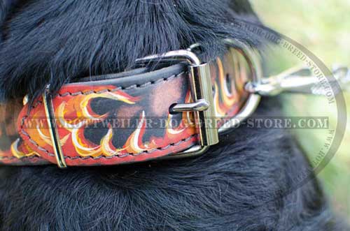 Hand Painted Rottweiler Collar has Massive Buckle/D-Ring 