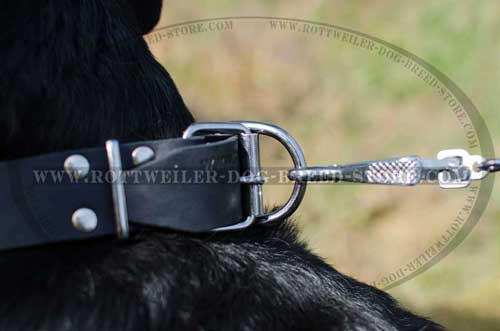 Handmade Leather Dog Collar with D-Ring for Rottweilers