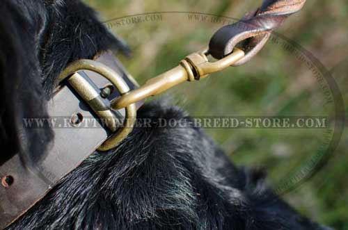 Handmade Leather Rottweiler Collar Has Welded D-Ring for Lead 