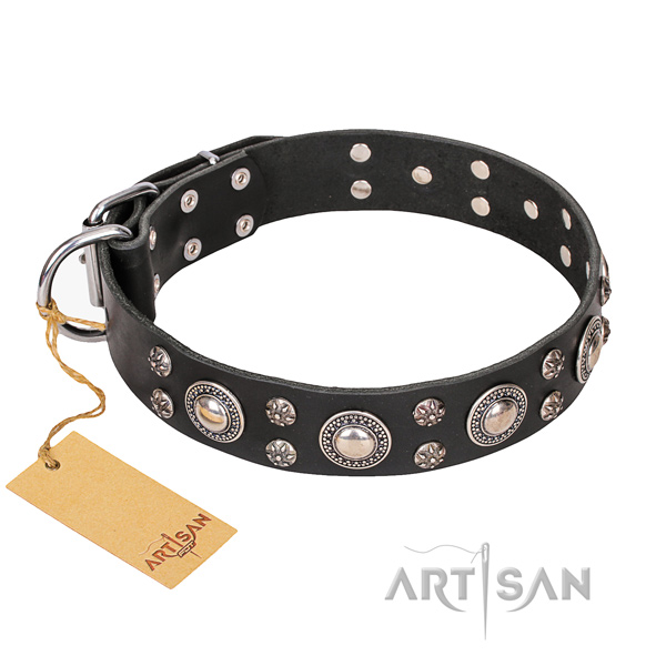 Hardwearing leather dog collar with corrosion-resistant fittings