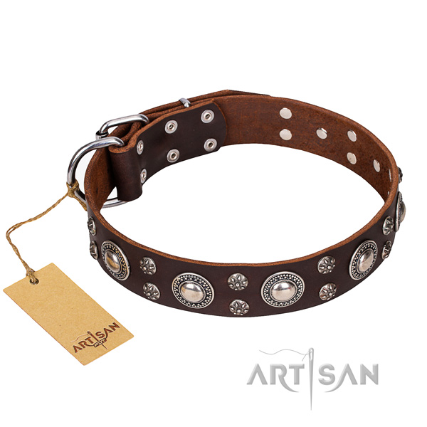 Durable leather dog collar with non-rusting fittings