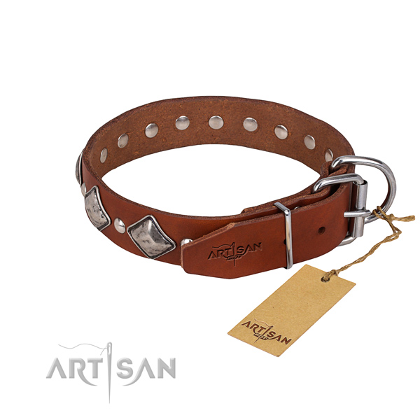 Strong leather dog collar with reliable fittings