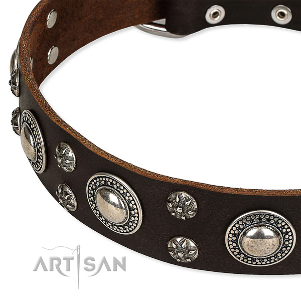 Quick to fasten leather dog collar with extra strong rust-proof buckle and D-ring