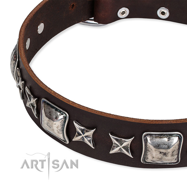 Full grain natural leather dog collar with embellishments for comfortable wearing