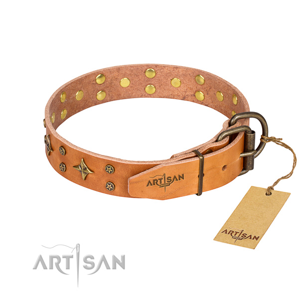 Daily walking leather collar with decorations for your doggie