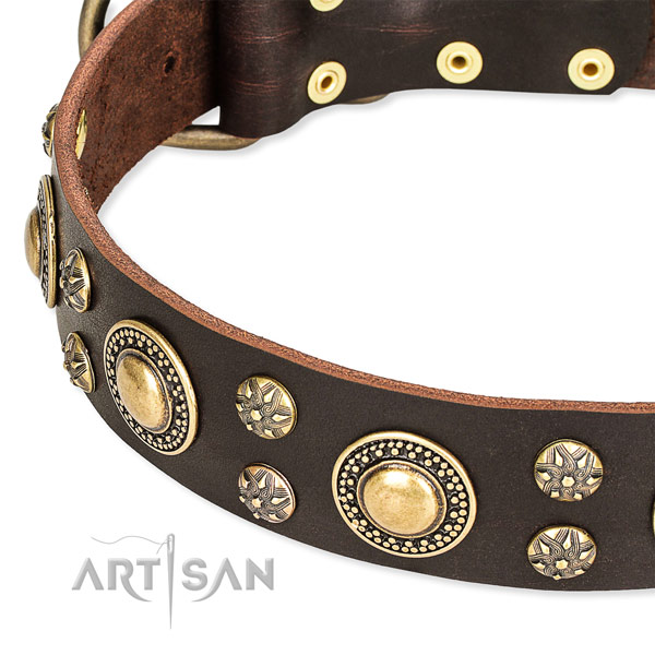 Leather dog collar with awesome embellishments