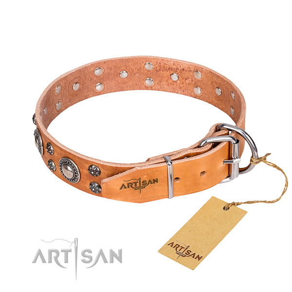 Everyday walking leather collar with embellishments for your dog