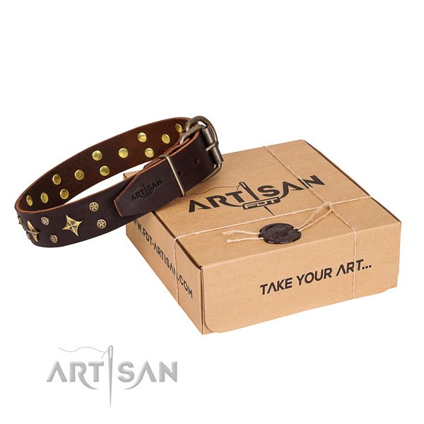 Decorated full grain leather dog collar for walking