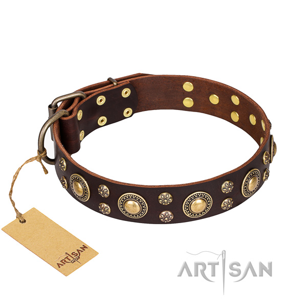 Exceptional leather dog collar for everyday walking