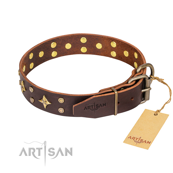Walking full grain natural leather collar with adornments for your doggie