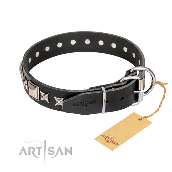 Everyday walking genuine leather collar with embellishments for your dog