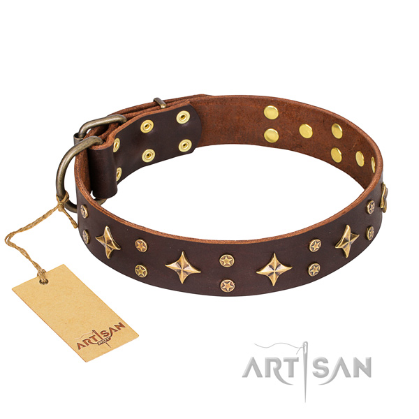 Exquisite genuine leather dog collar for stylish walking
