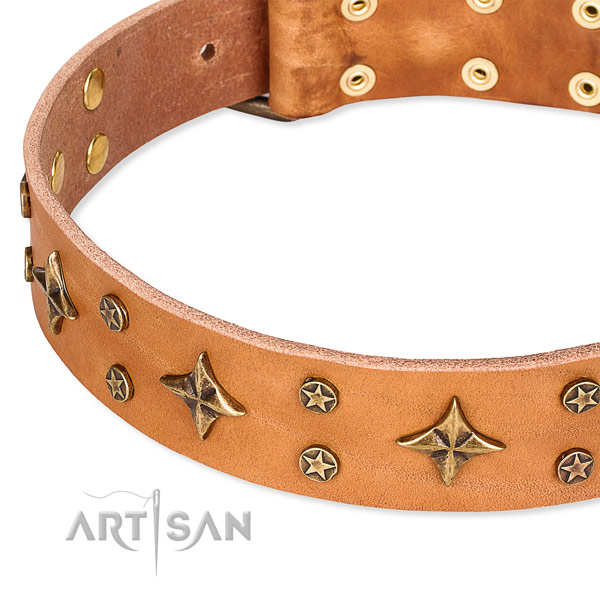 Full grain genuine leather dog collar with remarkable studs