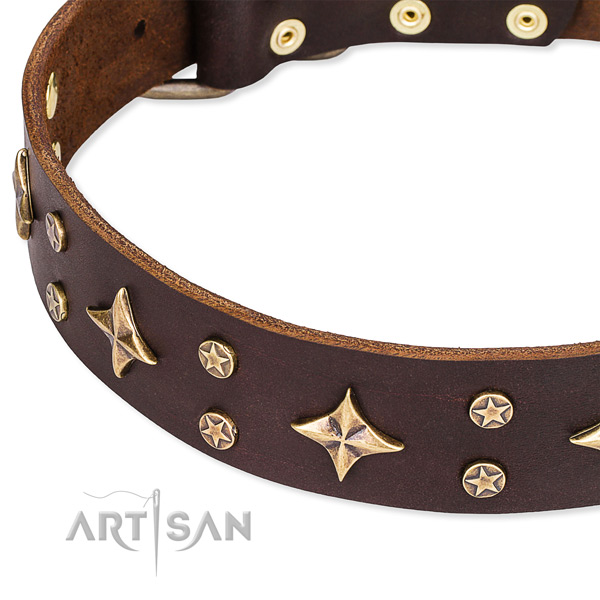 Full grain genuine leather dog collar with incredible adornments
