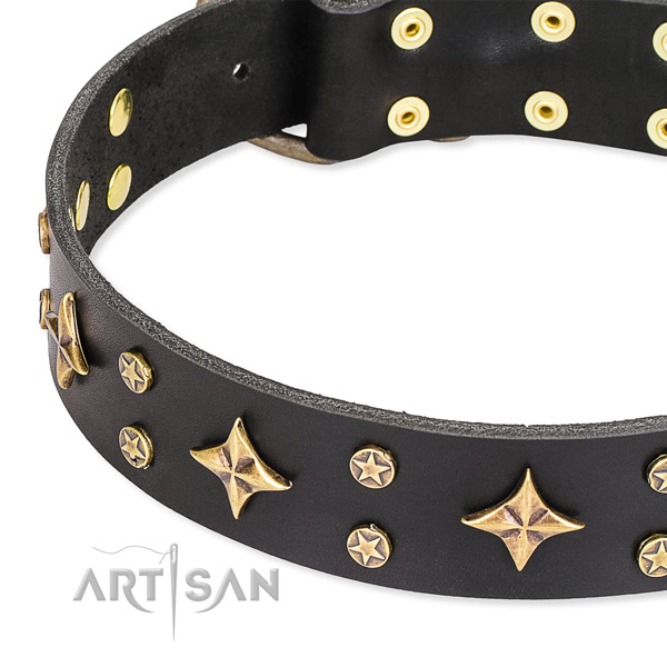 Full grain leather dog collar with significant embellishments