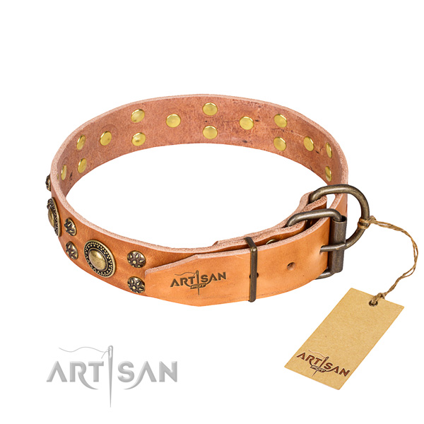 Everyday use full grain genuine leather collar with decorations for your four-legged friend
