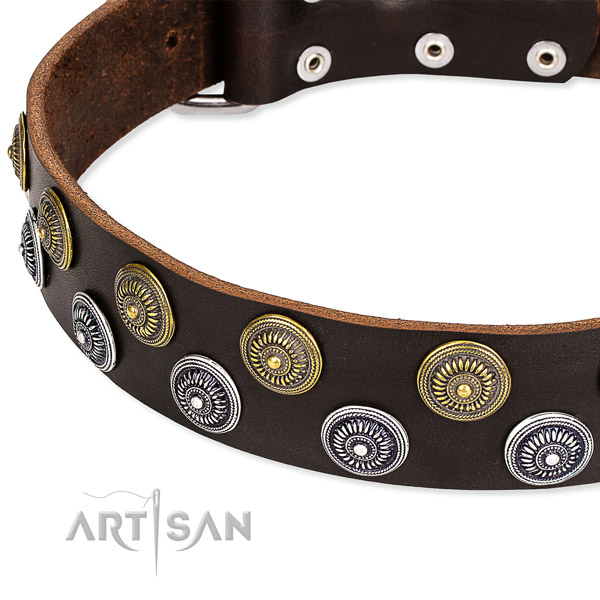 Genuine leather dog collar with trendy adornments