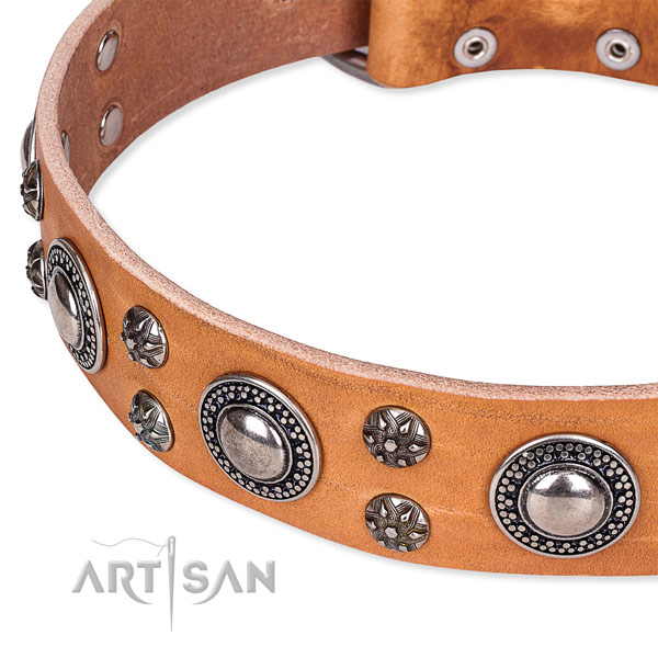 Stylish walking full grain genuine leather collar with corrosion resistant buckle and D-ring