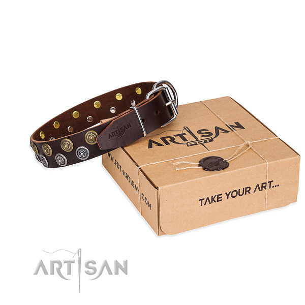 Full grain leather dog collar with adornments for everyday use